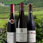 What is Burgundy Wine? a Simple Guide
